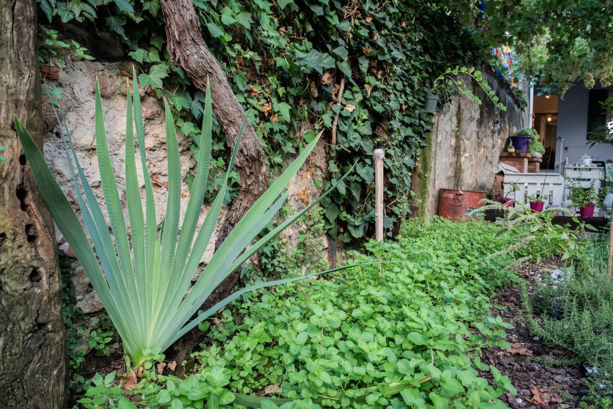 Casa Babbuino Hotel Verona Exterior foto